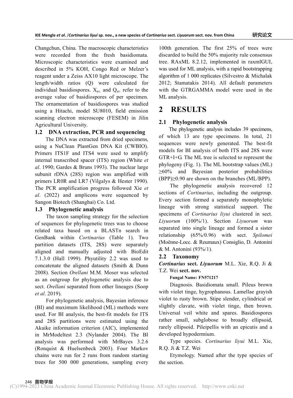 中国丝膜菌属李玉丝膜菌组一新种：李玉丝膜菌（英文）_谢孟乐.pdf_第3页