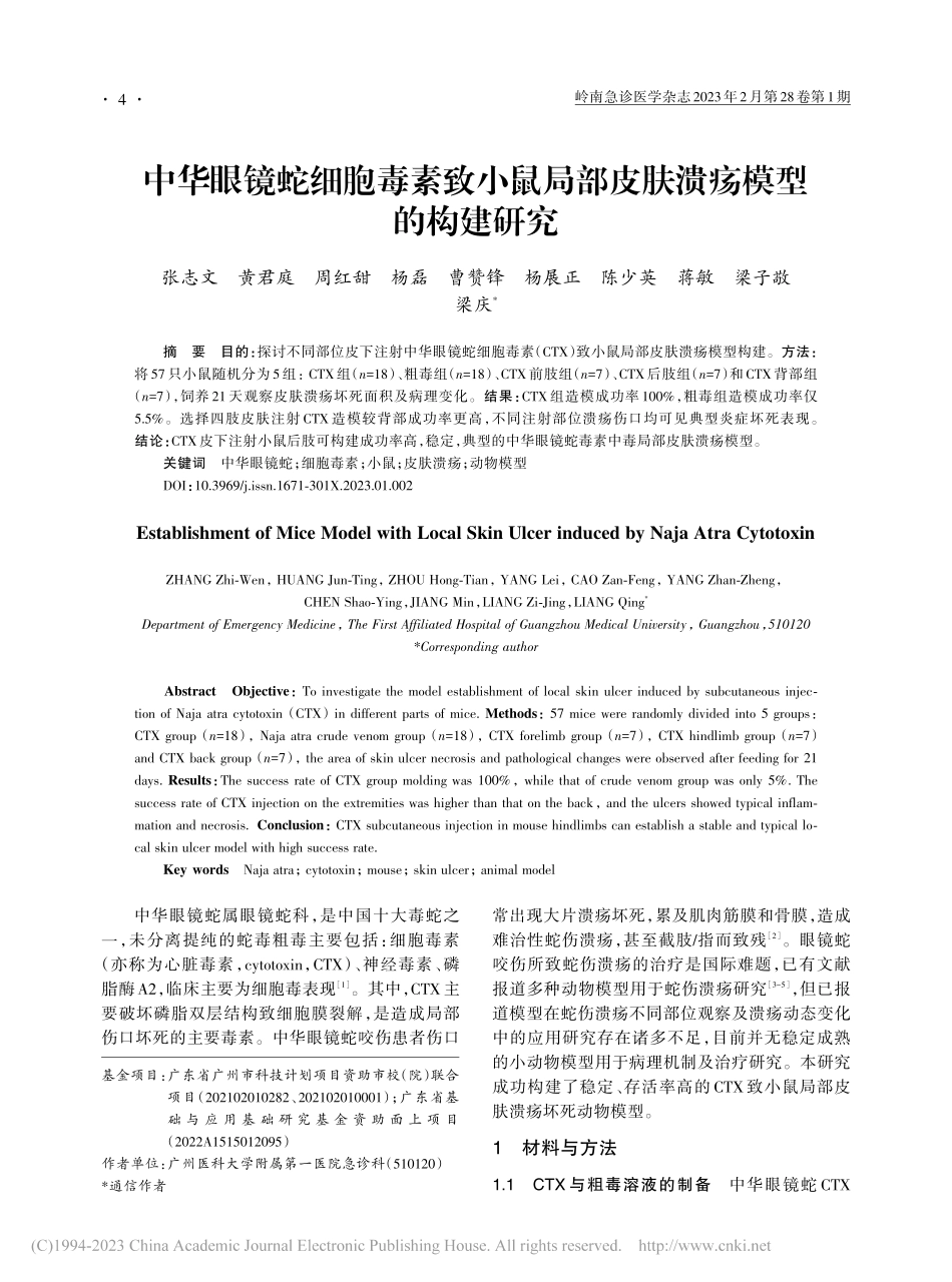 中华眼镜蛇细胞毒素致小鼠局部皮肤溃疡模型的构建研究_张志文.pdf_第1页