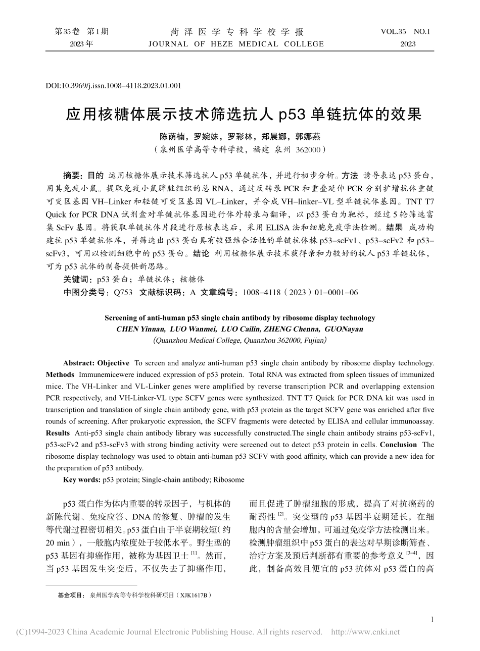 应用核糖体展示技术筛选抗人p53单链抗体的效果_陈荫楠.pdf_第1页