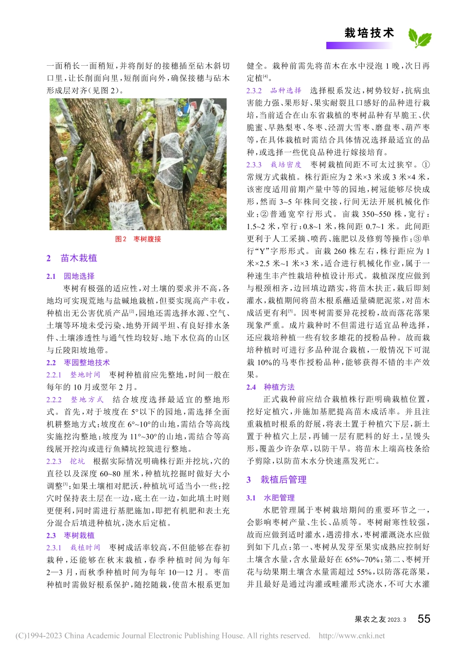 枣树栽培管理技术要点_冷士国.pdf_第2页