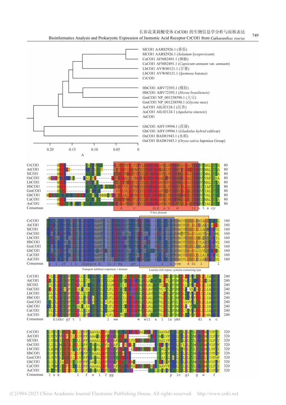 长春花茉莉酸受体CrCOI...的生物信息学分析与原核表达_苗琪.pdf_第3页