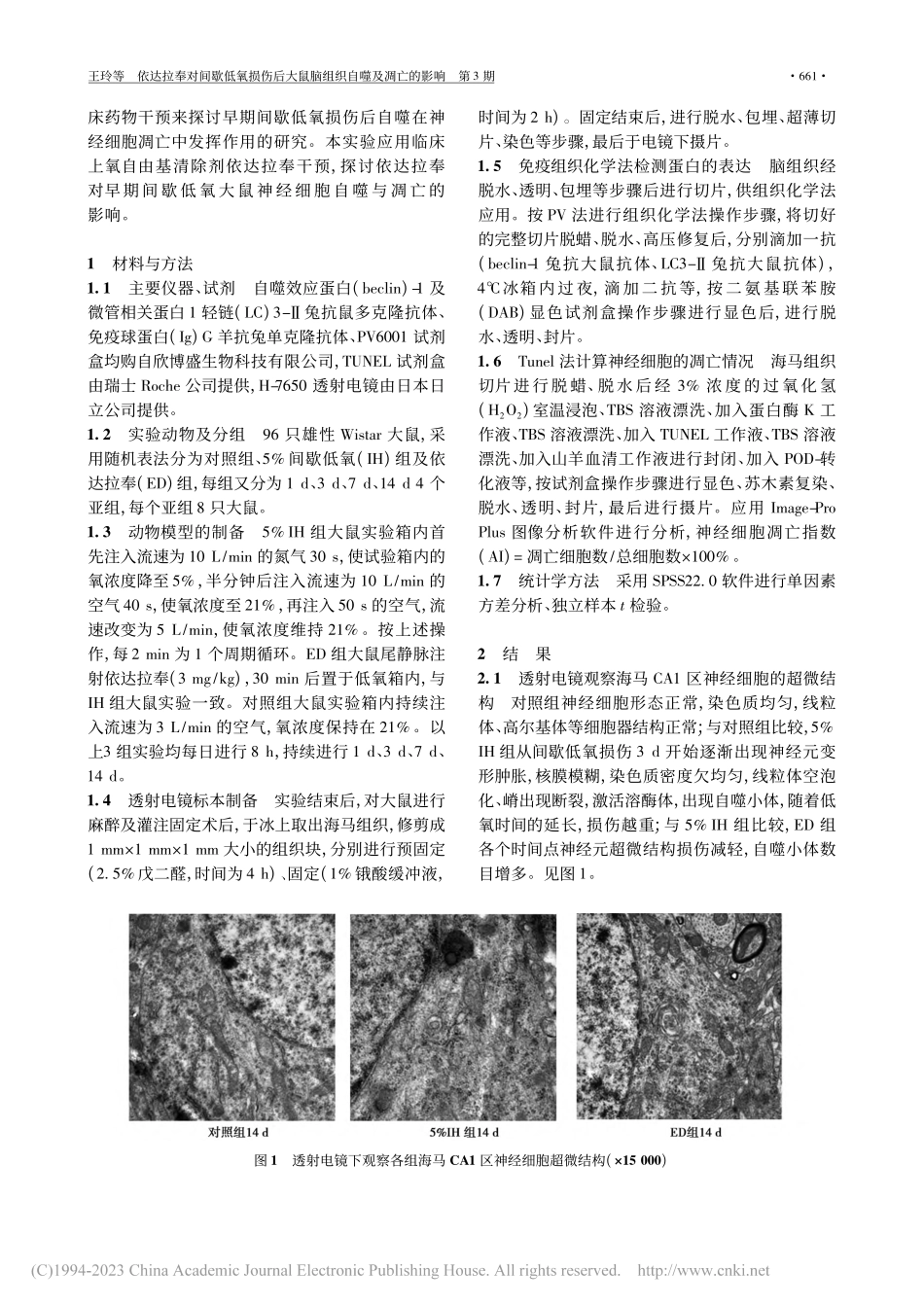 依达拉奉对间歇低氧损伤后大鼠脑组织自噬及凋亡的影响_王玲.pdf_第2页