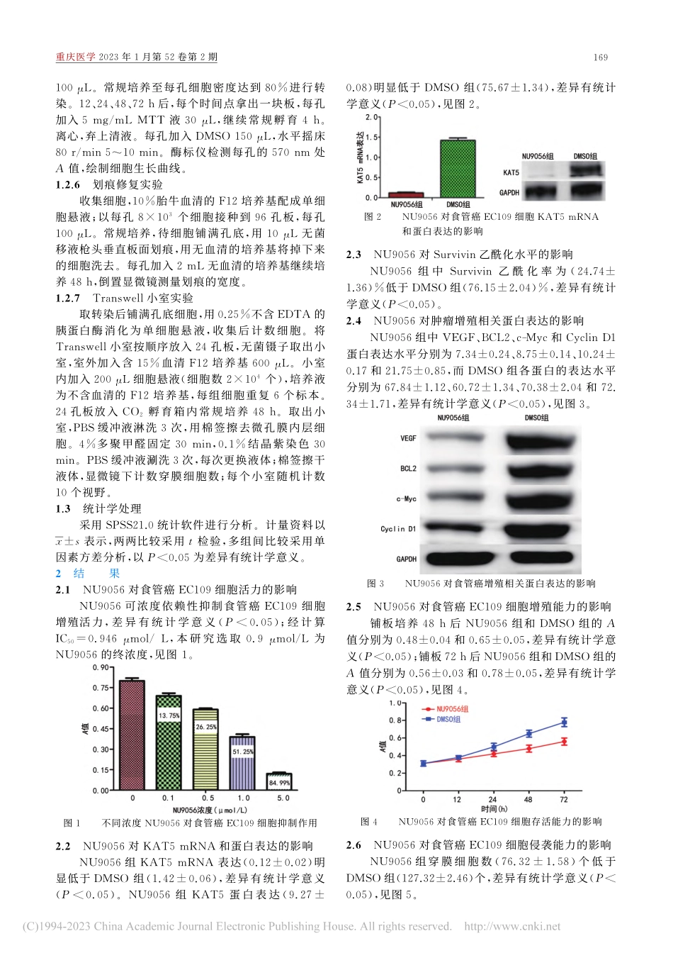 乙酰基转移酶抑制剂对食管癌...水平及细胞增殖和迁移的影响_梁宗英.pdf_第3页