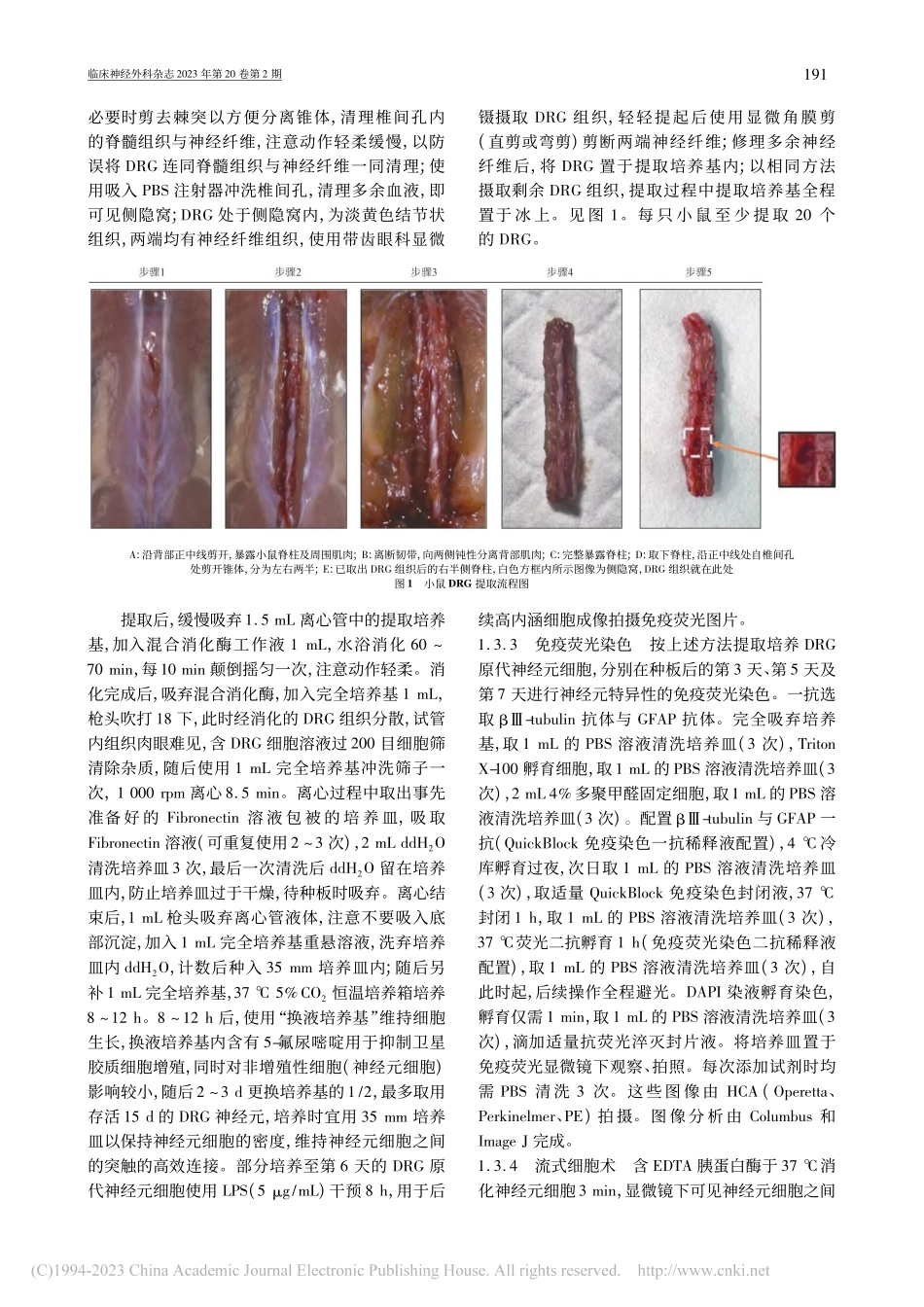 一种小鼠背根神经节原代神经元细胞分离与培养的优化方法_张皞晟.pdf_第3页