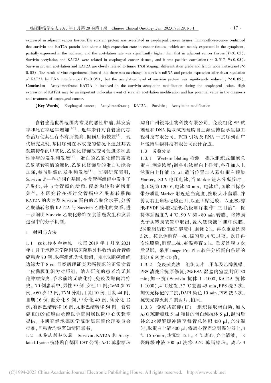 乙酰基转移酶KAT2A和S...酰化在食管癌中的相关性研究_梁宗英.pdf_第2页