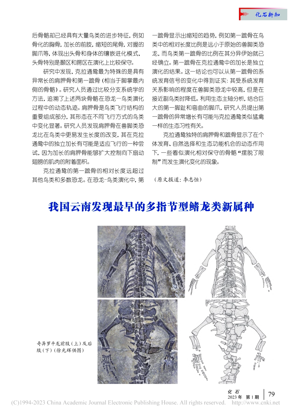 我国云南发现最早的多指节型鳍龙类新属种_徐光辉.pdf_第1页