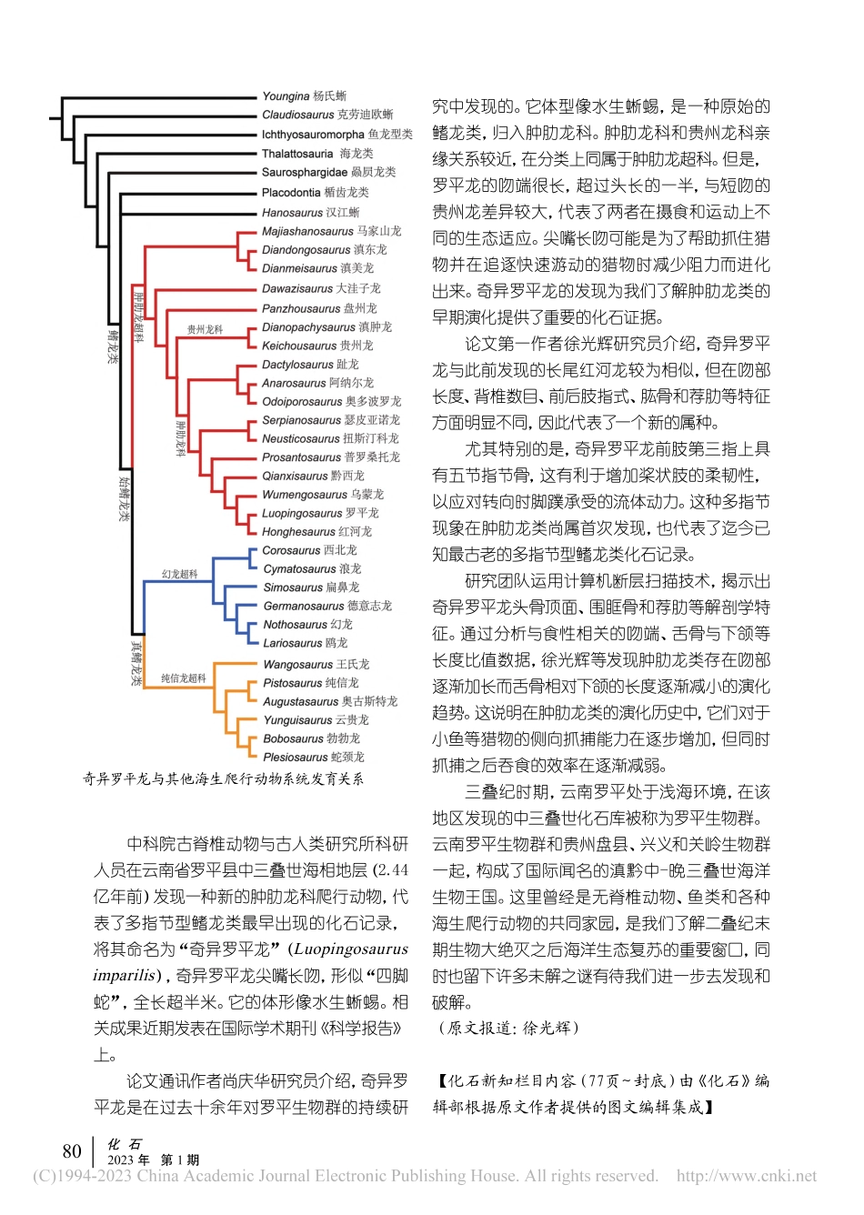 我国云南发现最早的多指节型鳍龙类新属种_徐光辉.pdf_第2页