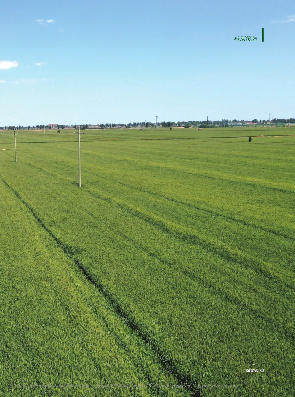 新产业新业态合作社助力乡村振兴_郭连伟.pdf_第2页