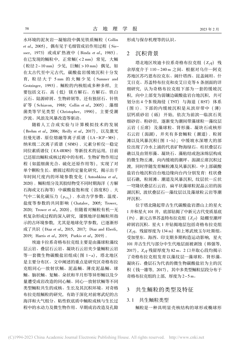 塔北埃迪卡拉系奇格布拉克组...型共生鲕粒特征及其成因探讨_钱一雄.pdf_第3页