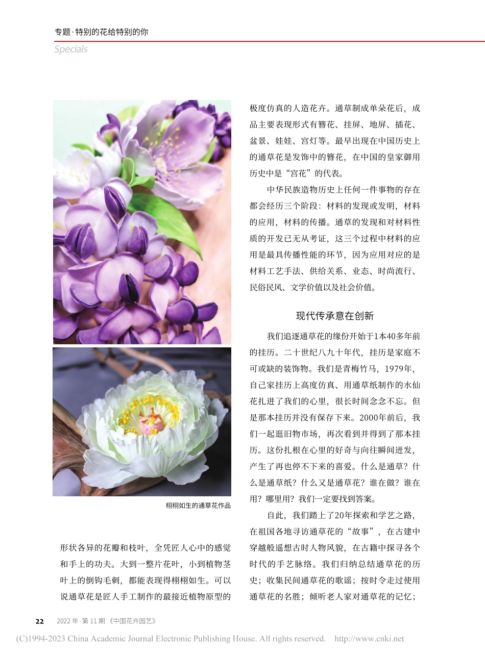 通草花2200年花开_李依凡_.pdf_第3页