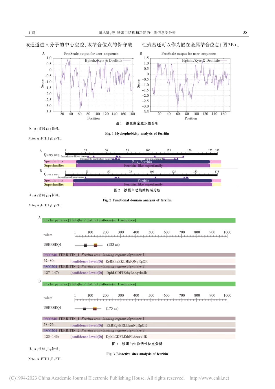 铁蛋白结构和功能的生物信息学分析_窦承贤.pdf_第3页