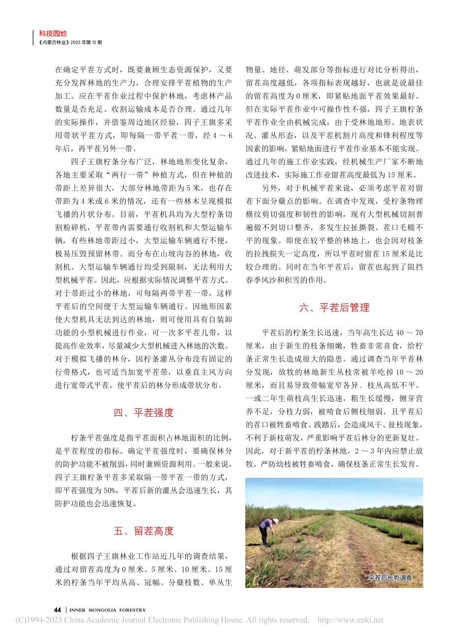 四子王旗柠条平茬技术_牛志明.pdf_第2页