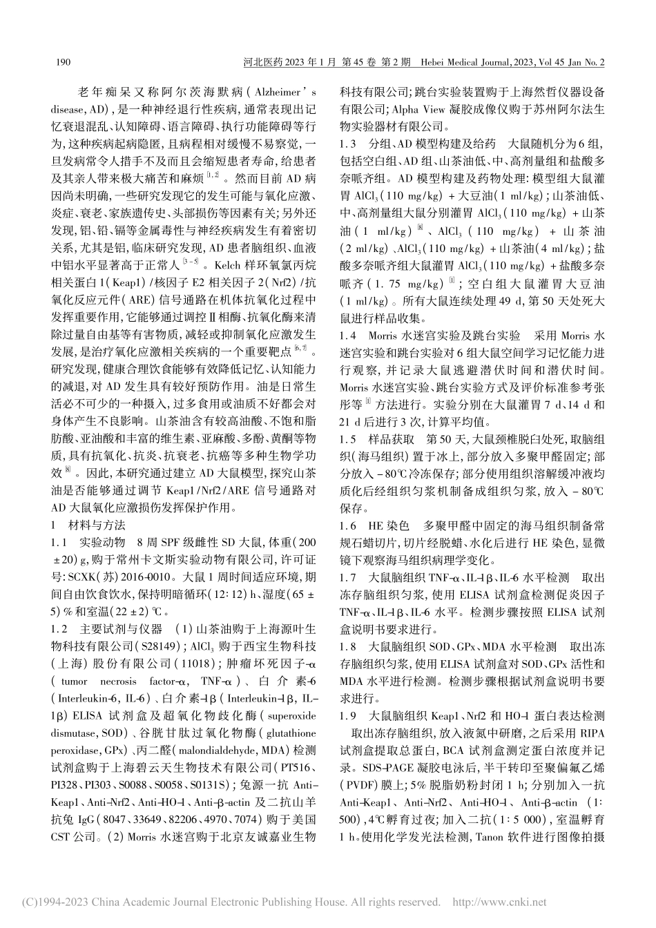 山茶油调节Keap1_Nr...痴呆大鼠氧化应激损伤的影响_谭丽萍.pdf_第2页