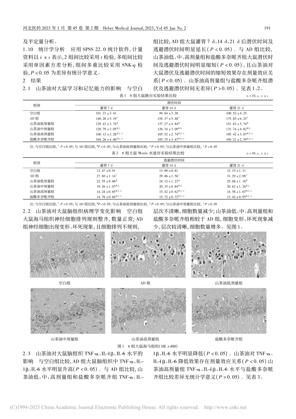 山茶油调节Keap1_Nr...痴呆大鼠氧化应激损伤的影响_谭丽萍.pdf_第3页