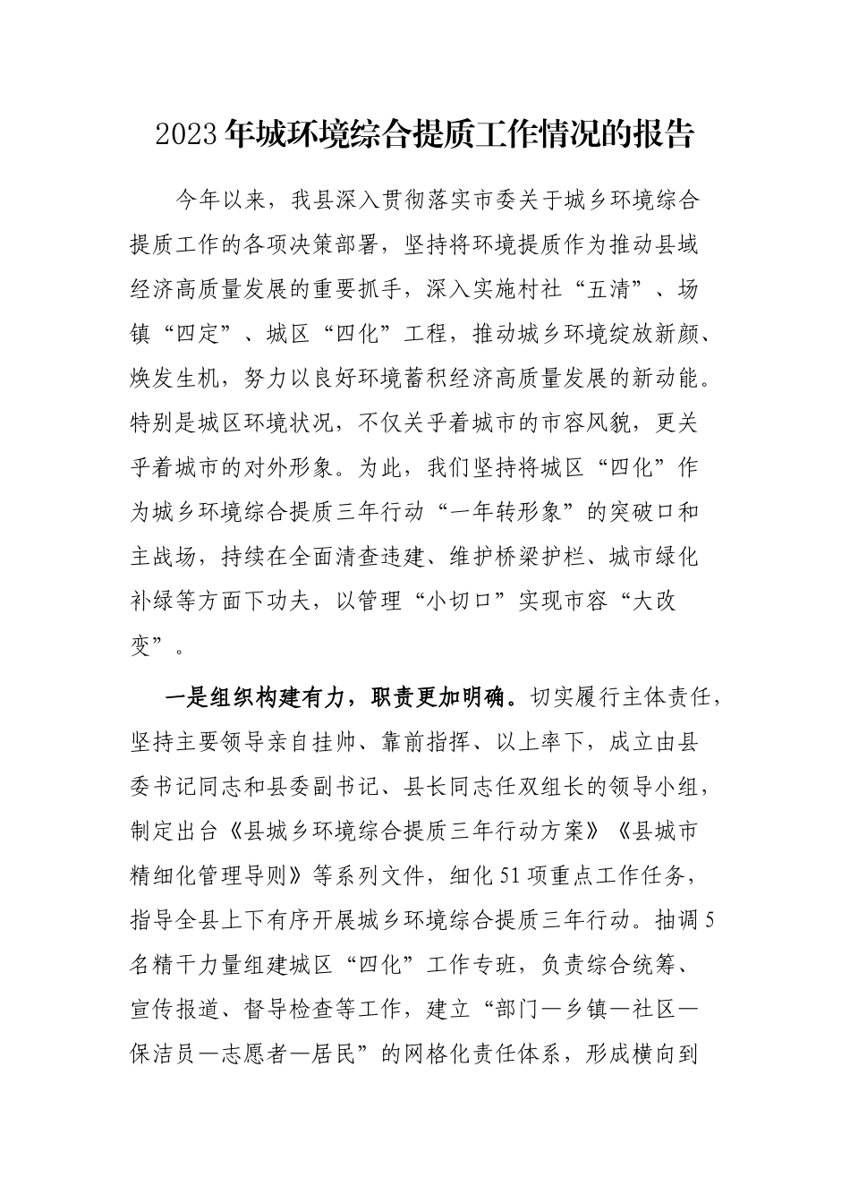 2023年城环境综合提质工作情况的报告.docx_第1页