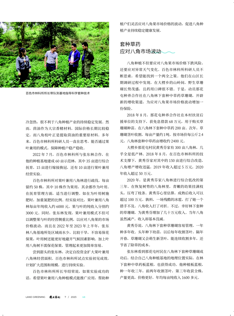 百色市复合经营八角 促进农户增产增收.pdf_第3页