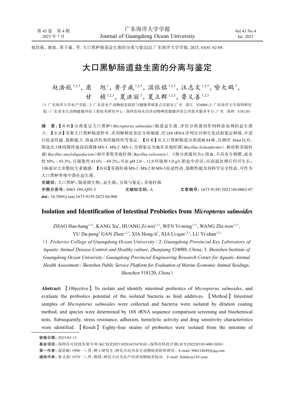 大口黑鲈肠道益生菌的分离与鉴定.pdf_第1页