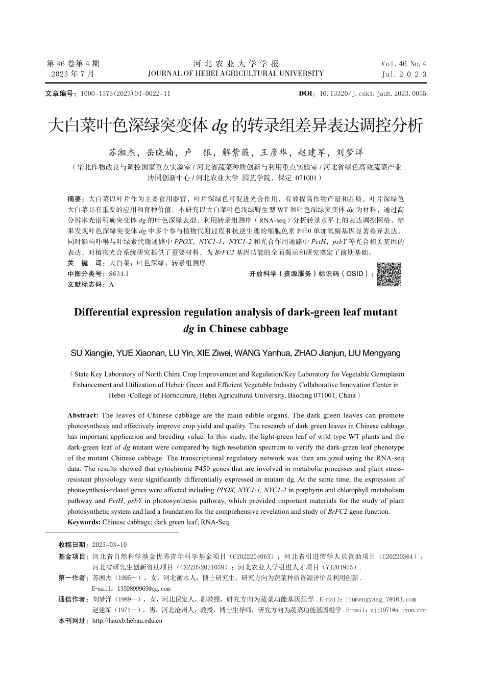 大白菜叶色深绿突变体 dg 的转录组差异表达调控分析.pdf_第1页