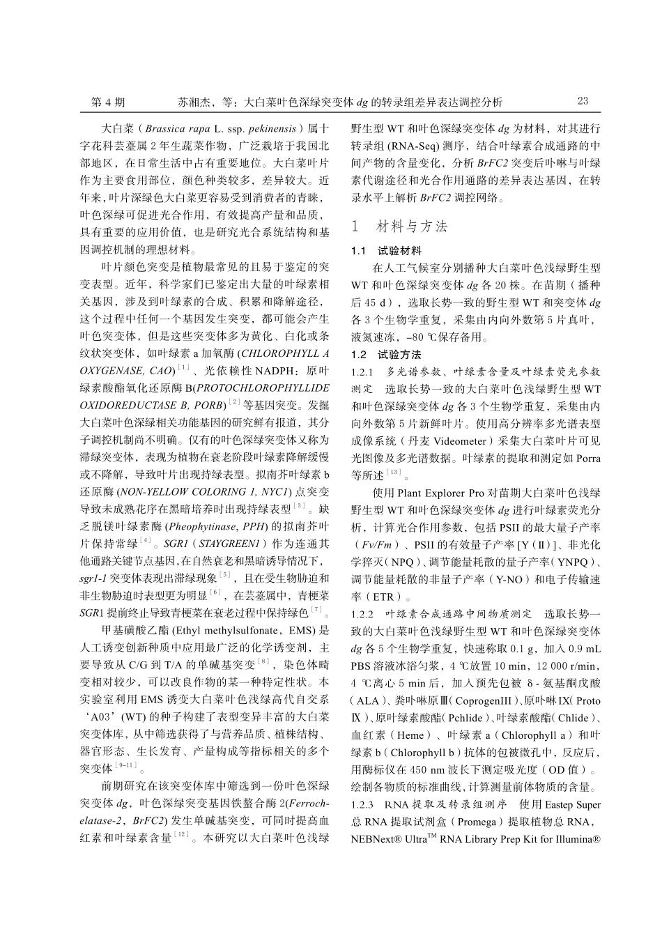 大白菜叶色深绿突变体 dg 的转录组差异表达调控分析.pdf_第2页