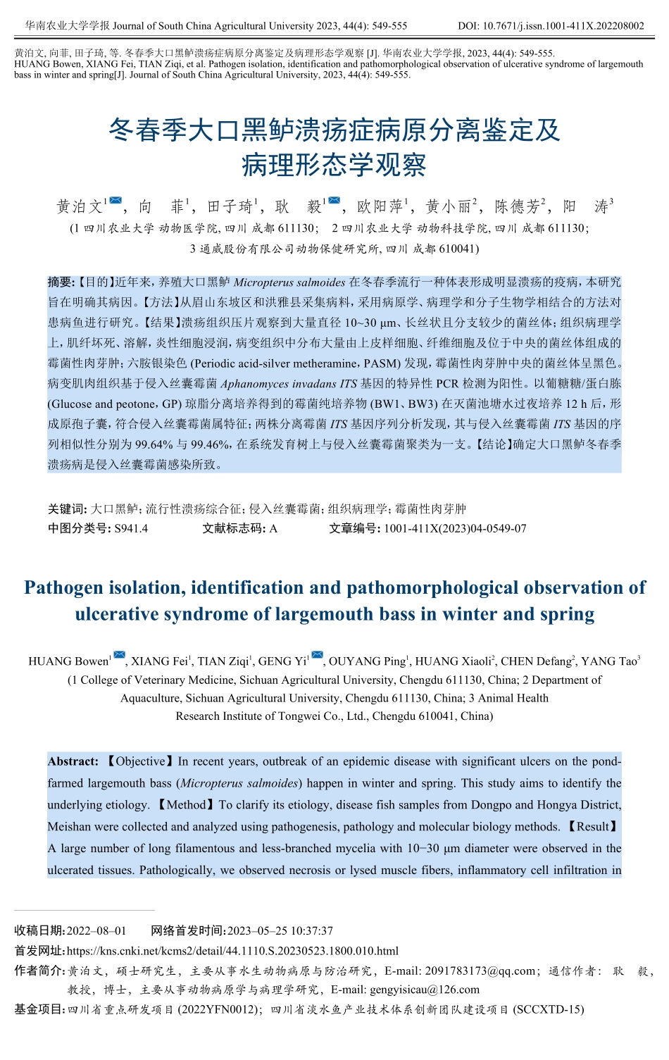 冬春季大口黑鲈溃疡症病原分离鉴定及病理形态学观察.pdf_第1页