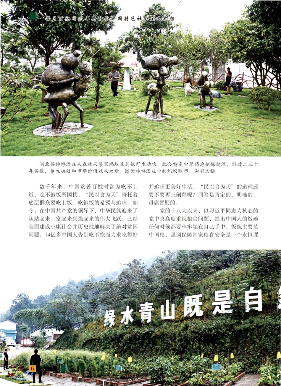 “向森林要食物”白的广西探索.pdf_第2页