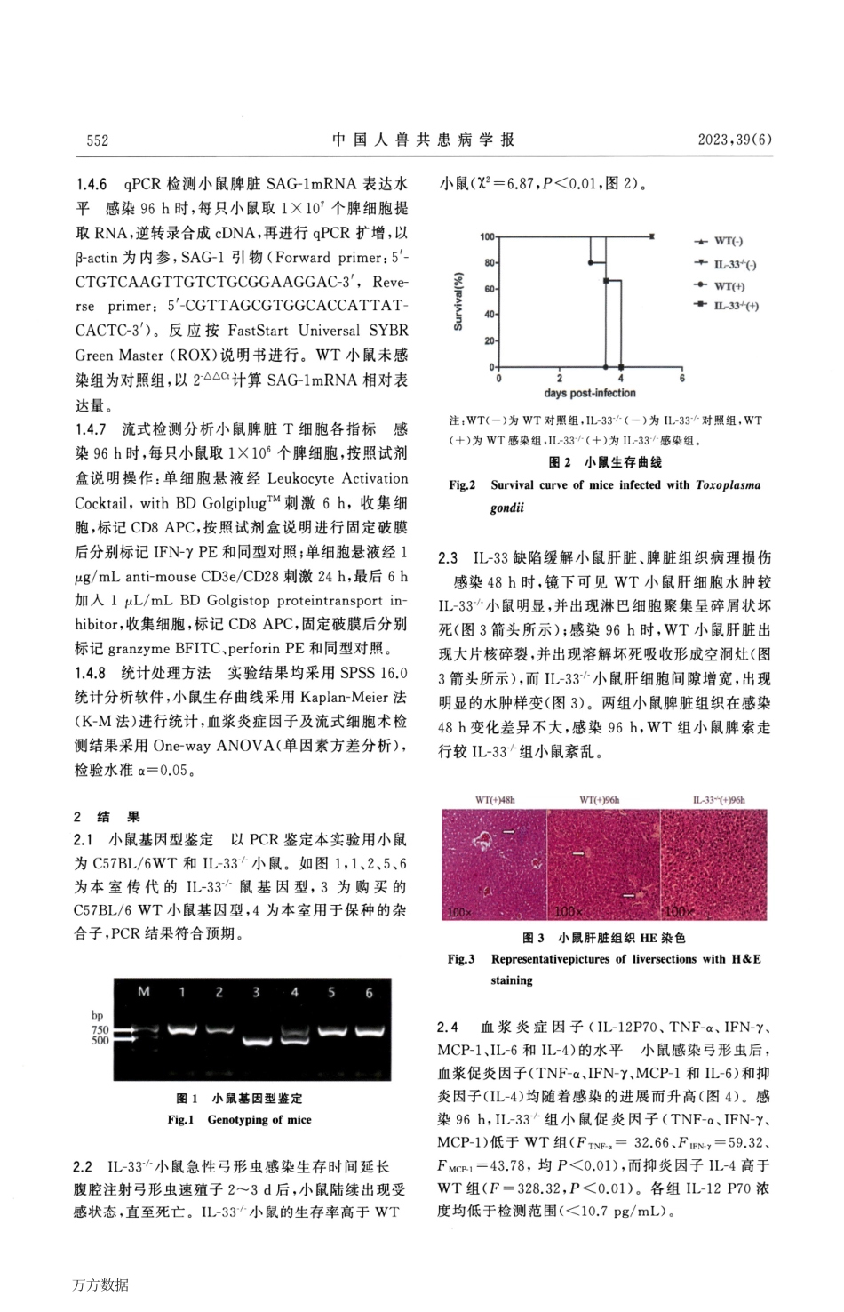 IL-33缺陷调节小鼠抗弓形虫感染的CD8+T细胞应答.pdf_第3页
