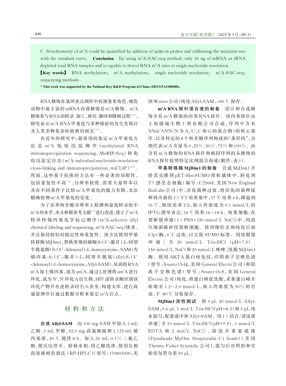 m6A-SAC-seq在单核苷酸分辨率水平检测RNAm6A修饰.pdf_第2页