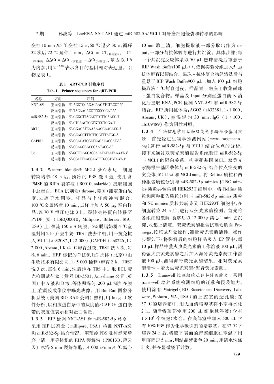 LncRNA NNT-AS1通过miR-582-5p_MCL1对肝癌细胞侵袭和转移的影响.pdf_第3页