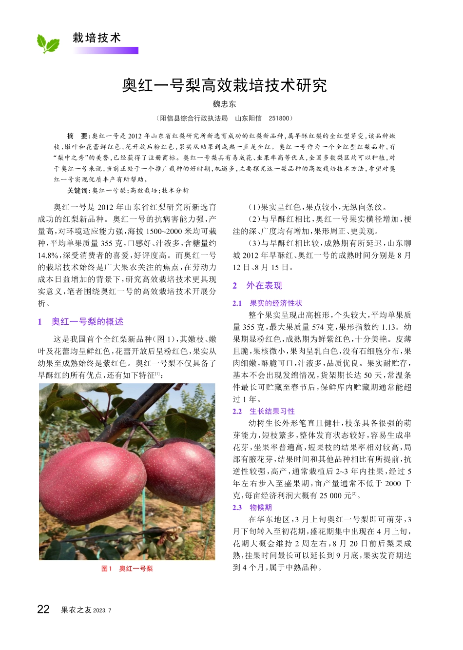 奥红一号梨高效栽培技术研究.pdf_第1页