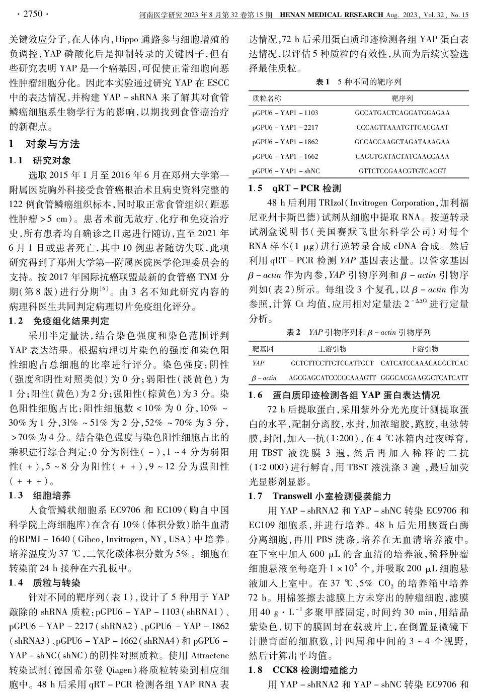 YAP-shRNA载体构建及其对食管鳞癌细胞系生物学行为的影响.pdf_第2页