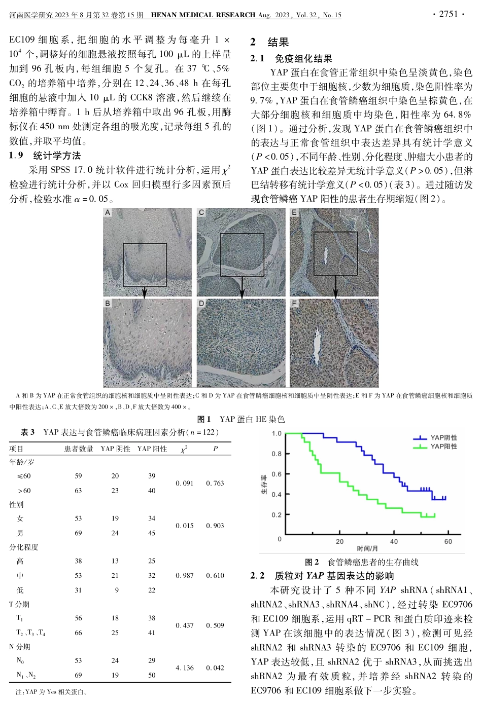 YAP-shRNA载体构建及其对食管鳞癌细胞系生物学行为的影响.pdf_第3页