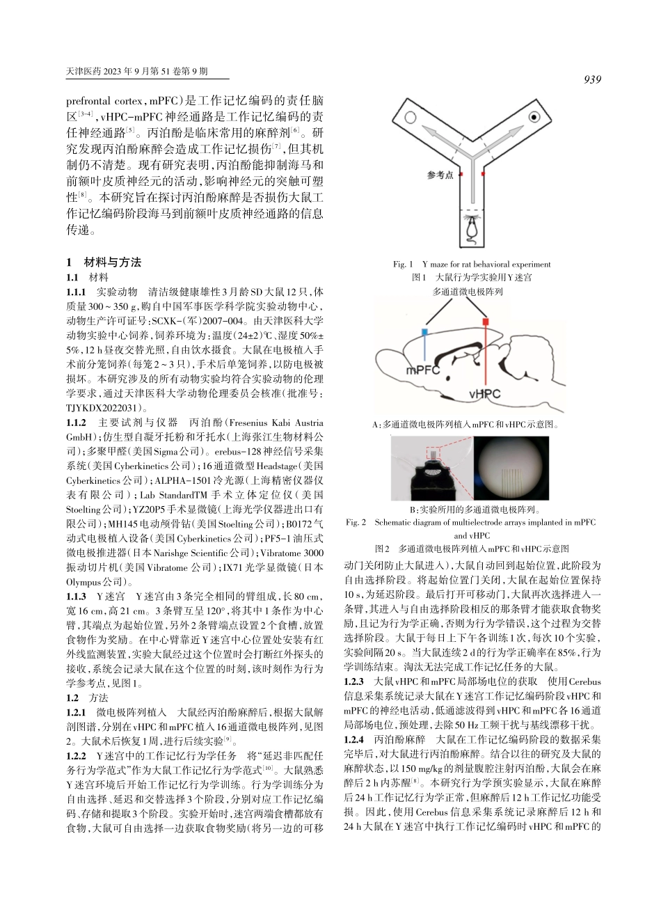 丙泊酚麻醉损伤工作记忆编码海马-前额叶皮质网络信息传递的研究.pdf_第2页