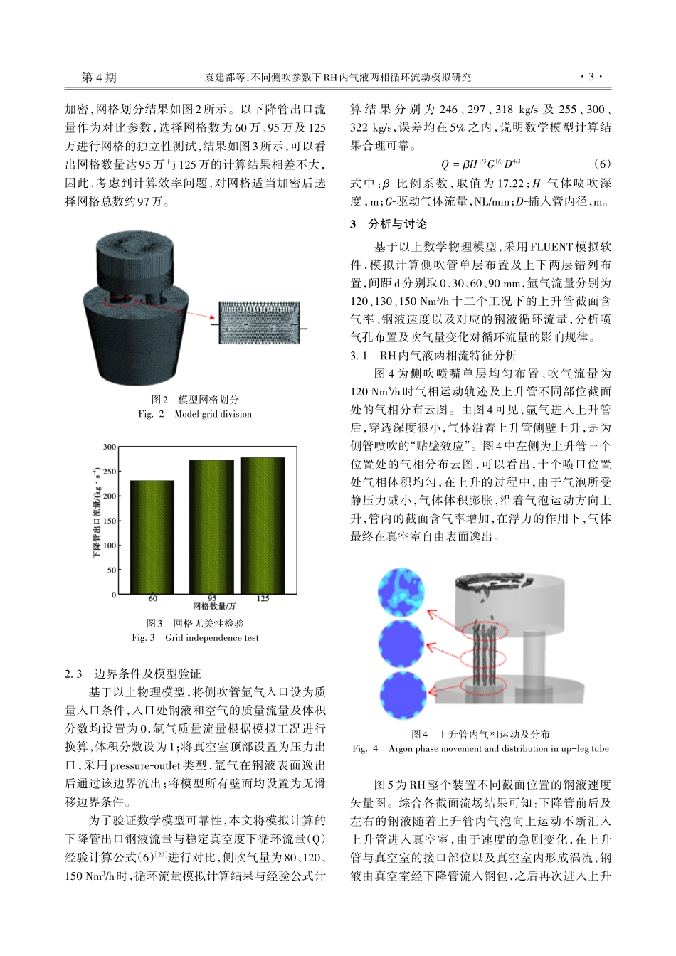 不同侧吹参数下RH内气液两相循环流动模拟研究.pdf_第3页
