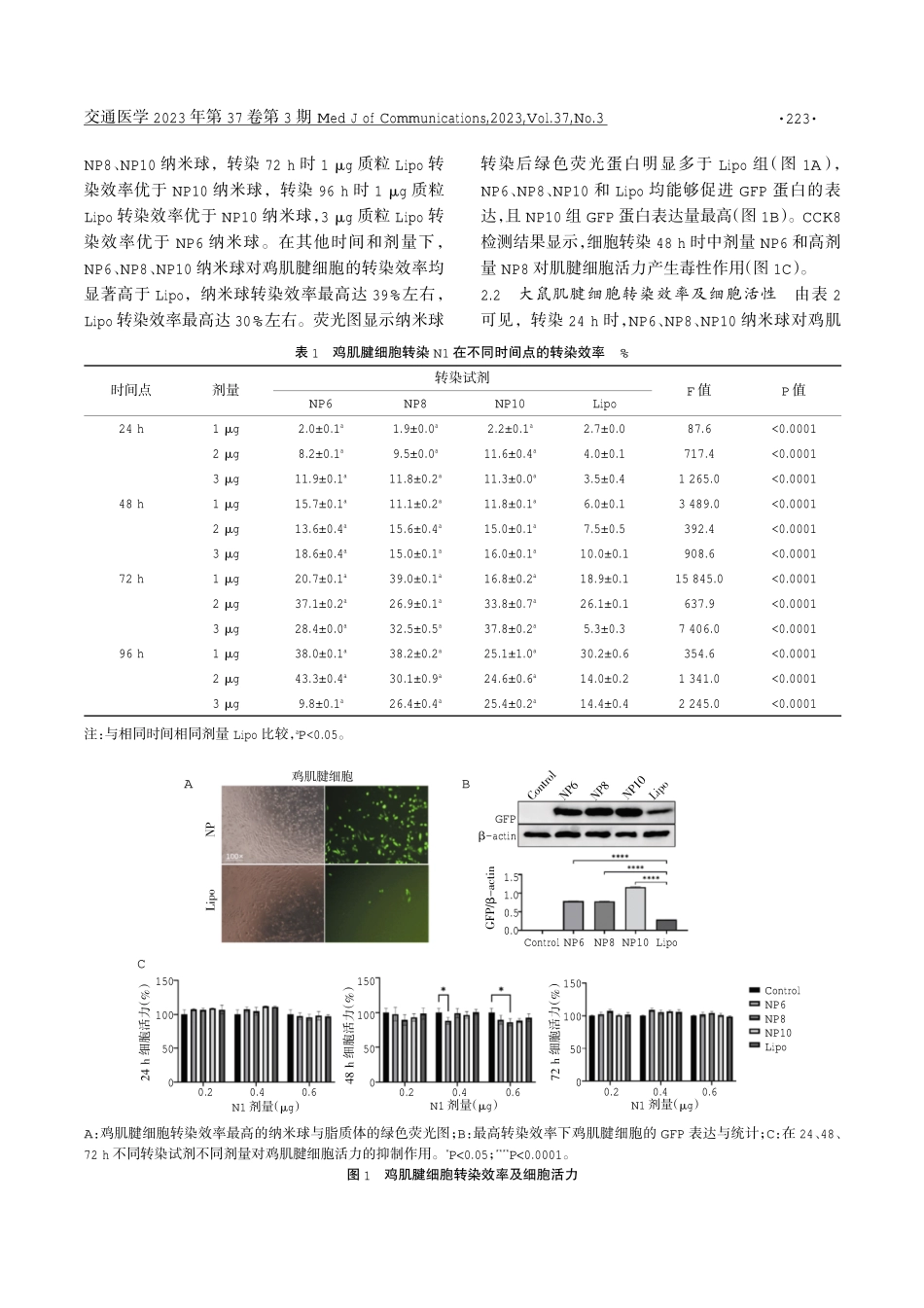 不同非病毒载体对原代肌腱细胞转染效率和毒性作用研究.pdf_第3页