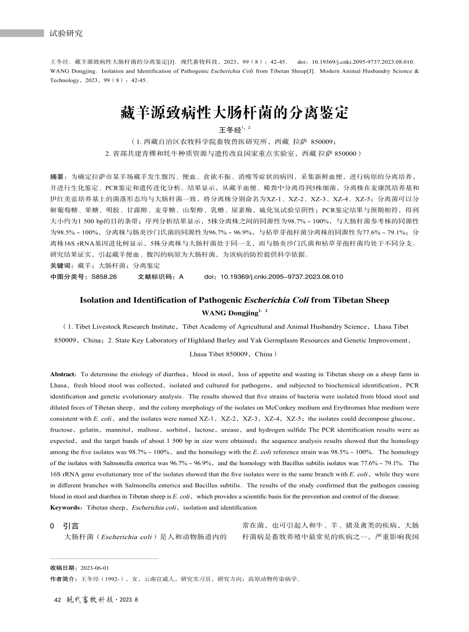 藏羊源致病性大肠杆菌的分离鉴定.pdf_第1页