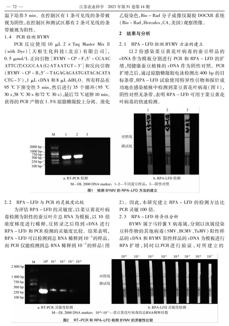 菜豆黄花叶病毒RPA-LFD技术快速检测方法的建立与应用.pdf_第3页