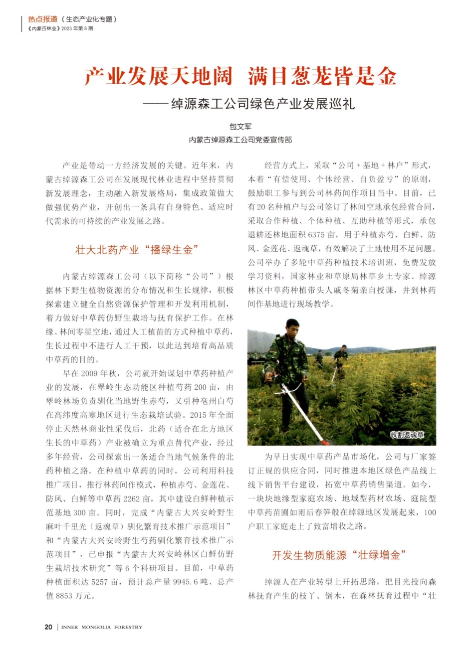 产业发展天地阔 满目葱茏皆是金——绰源森工公司绿色产业发展巡礼.pdf_第1页