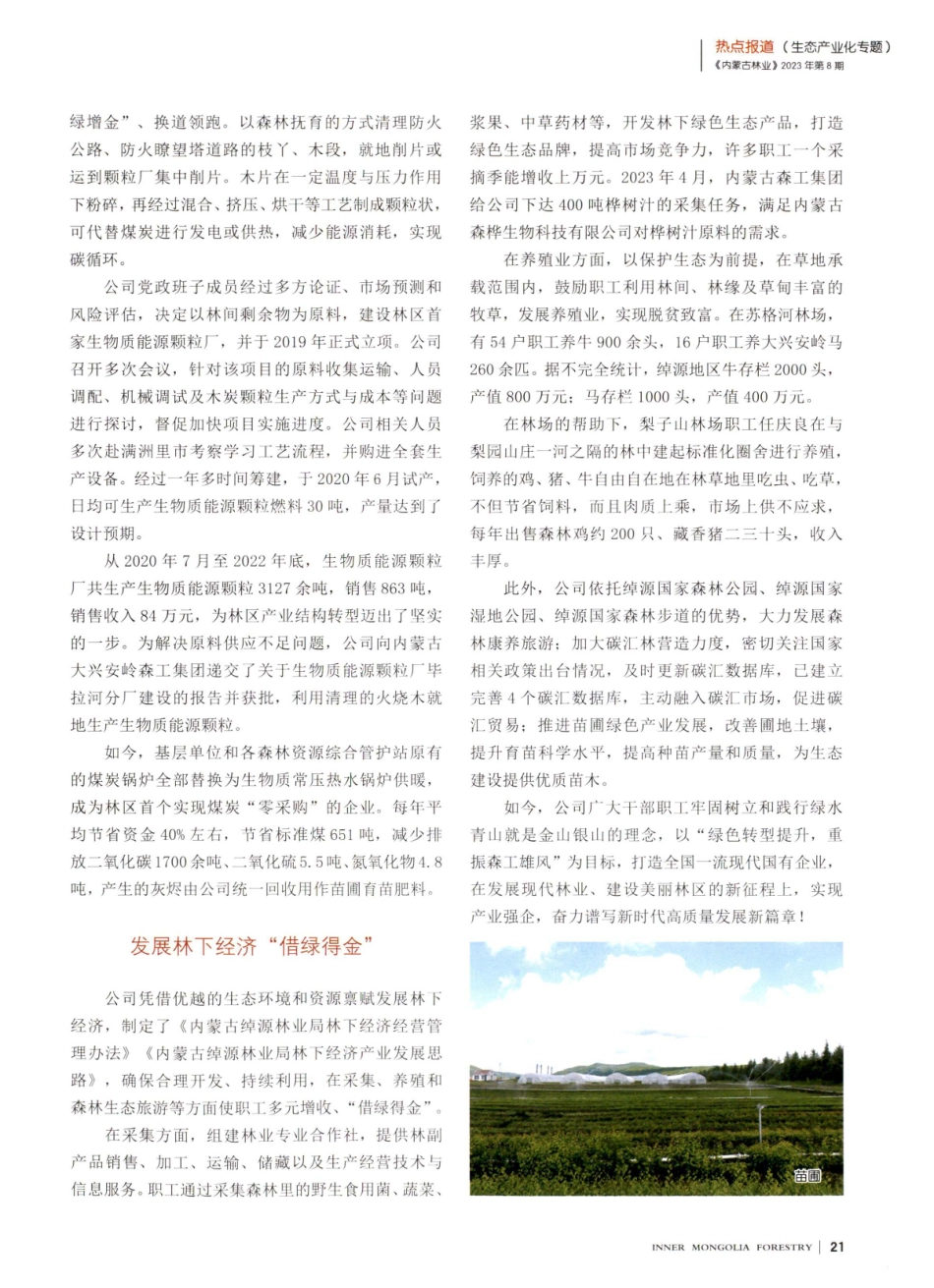 产业发展天地阔 满目葱茏皆是金——绰源森工公司绿色产业发展巡礼.pdf_第2页