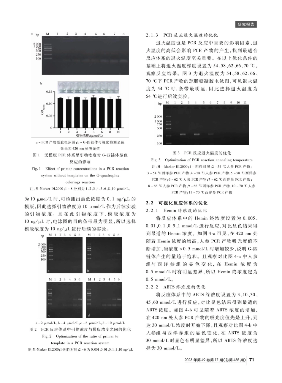PCR与G-四链体联用可视化鉴别人参与西洋参.pdf_第3页