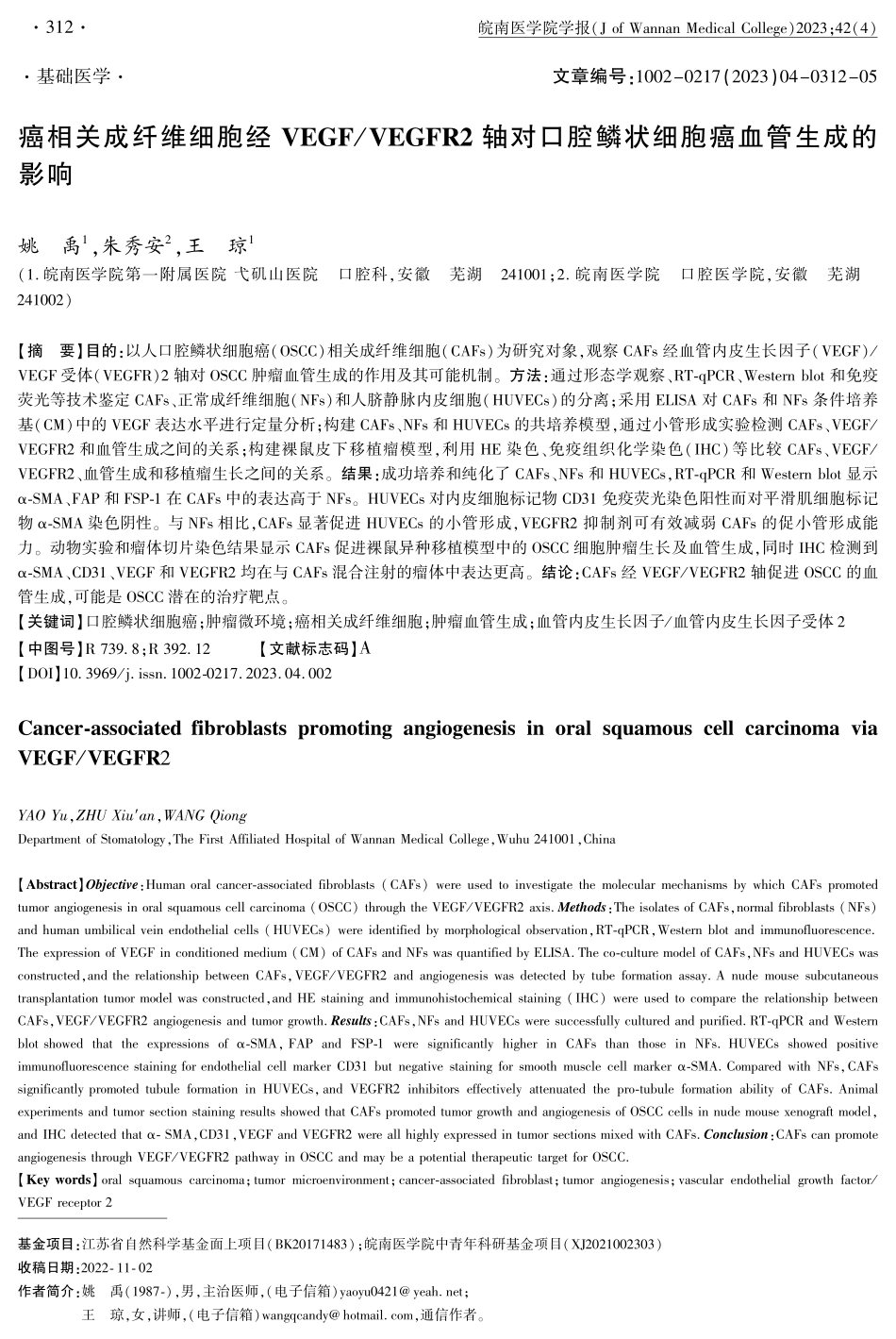 癌相关成纤维细胞经VEGF_VEGFR2 轴对口腔鳞状细胞癌血管生成的影响.pdf_第1页