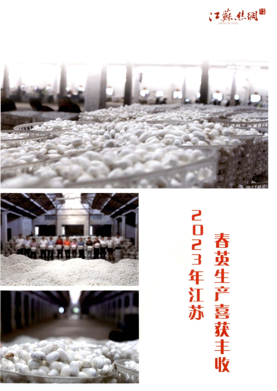 2023年江苏春茧生产喜获丰收.pdf_第2页