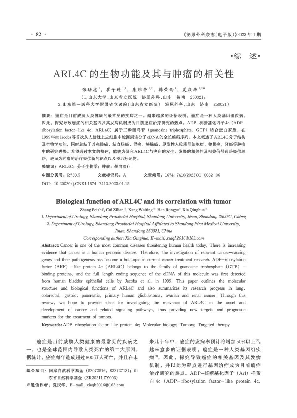 ARL4C的生物功能及其与肿瘤的相关性.pdf_第1页