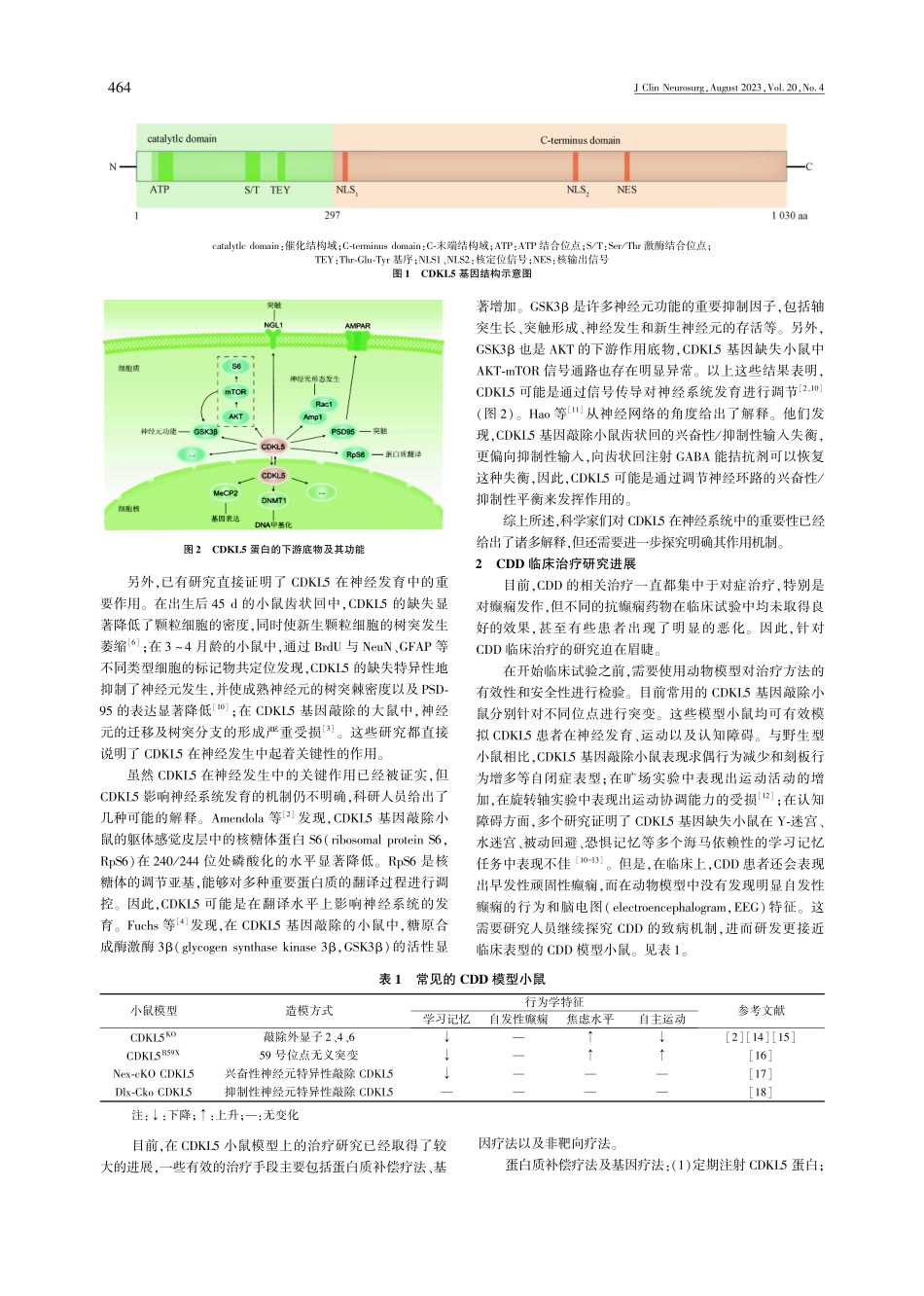 CDKL5综合征及其治疗进展.pdf_第2页
