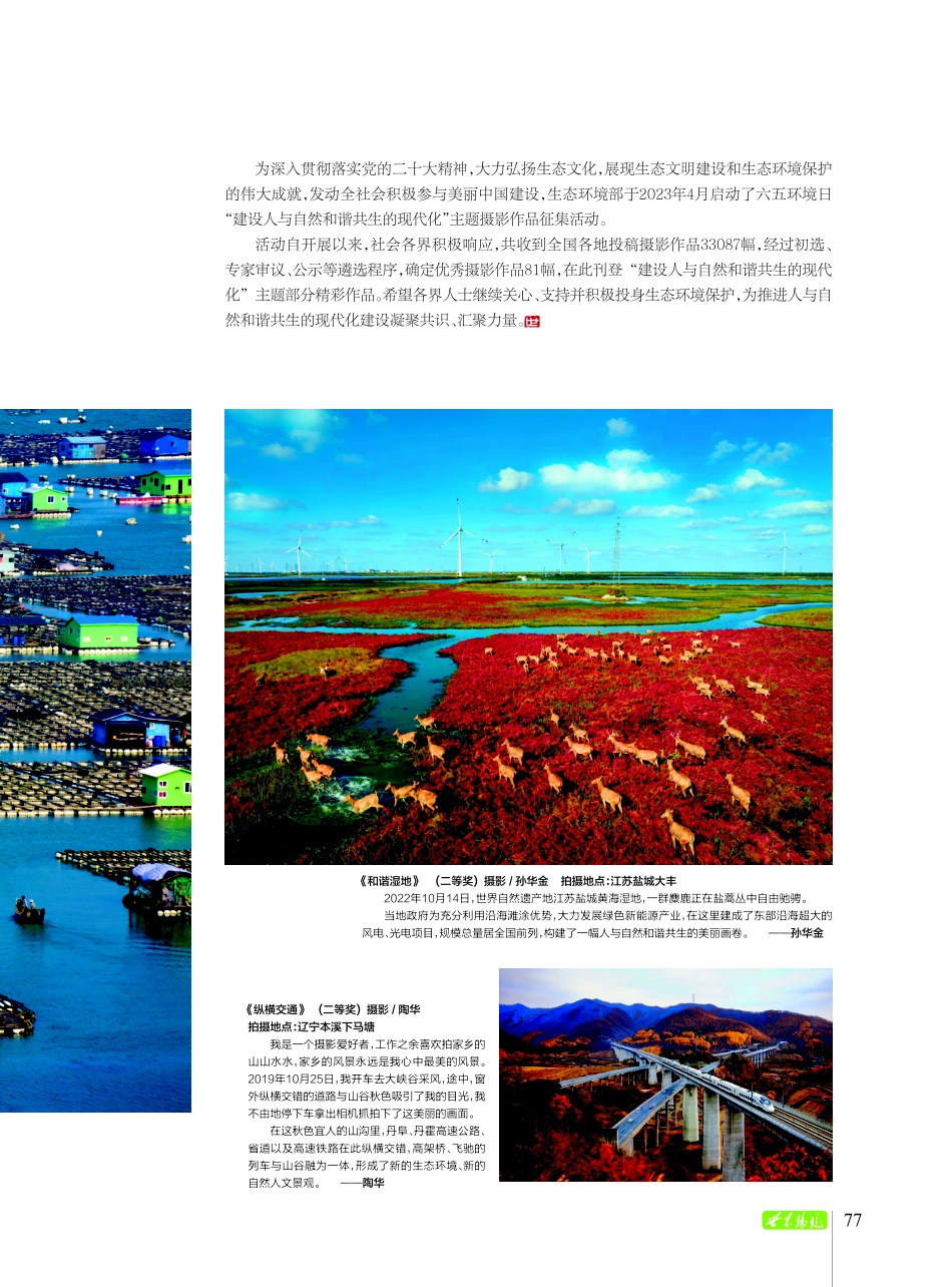2023年六五环境日主题摄影大赛精彩作品展播.pdf_第2页