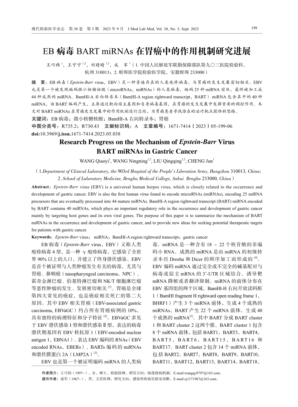 EB病毒BART miRNAs在胃癌中的作用机制研究进展.pdf_第1页