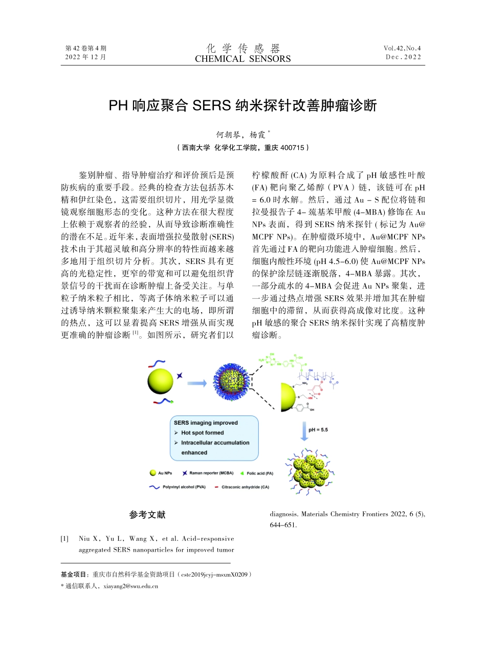 PH响应聚合SERS纳米探针改善肿瘤诊断.pdf_第1页