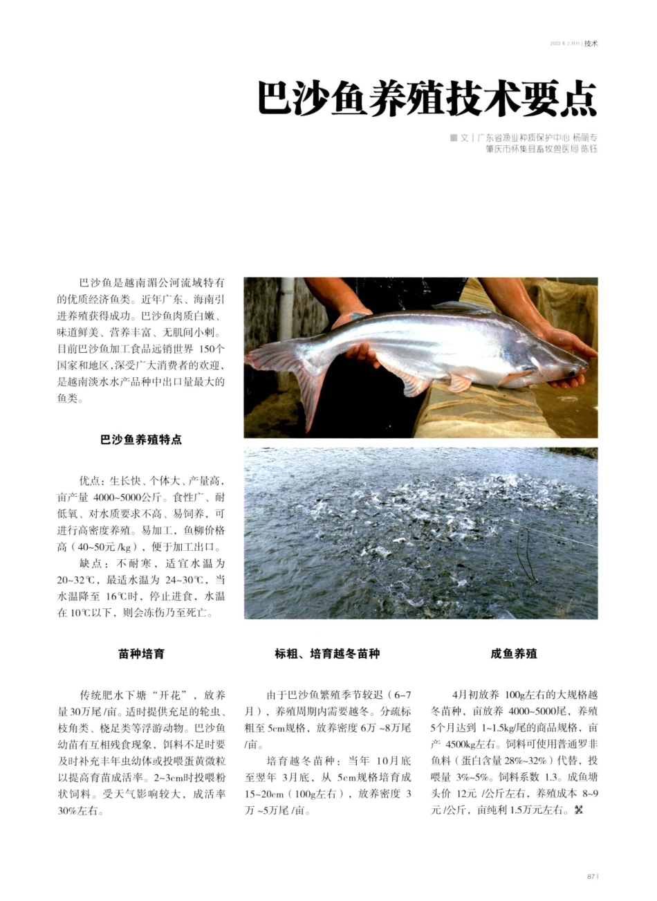 巴沙鱼养殖技术要点.pdf_第1页