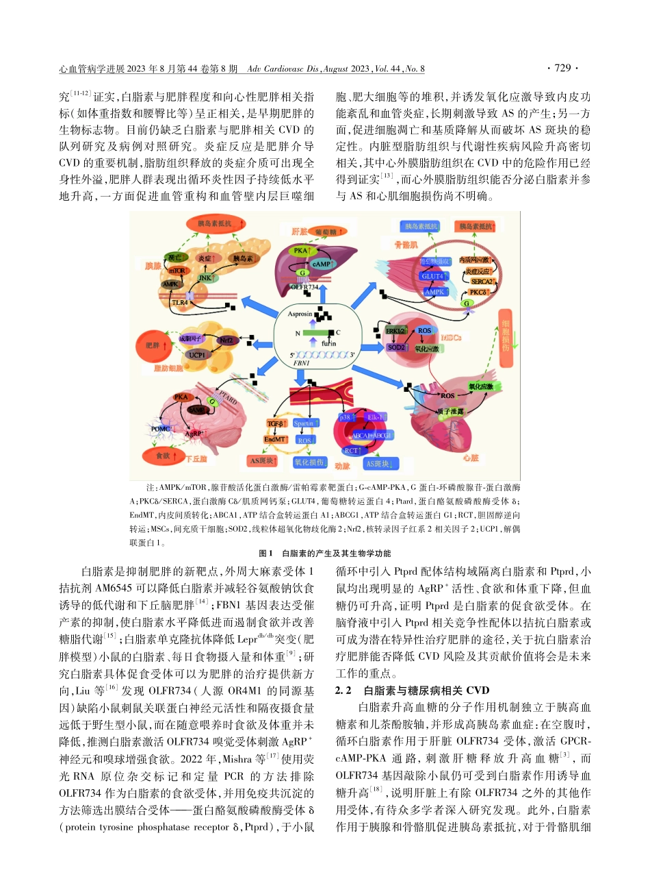 白脂素对代谢性心血管疾病潜在作用的研究进展.pdf_第2页
