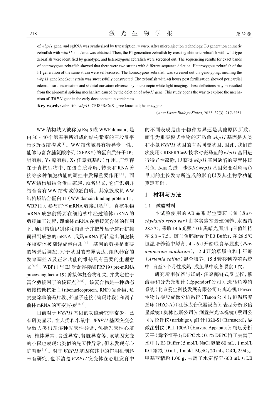 斑马鱼wbp11基因敲除品系的建立.pdf_第2页