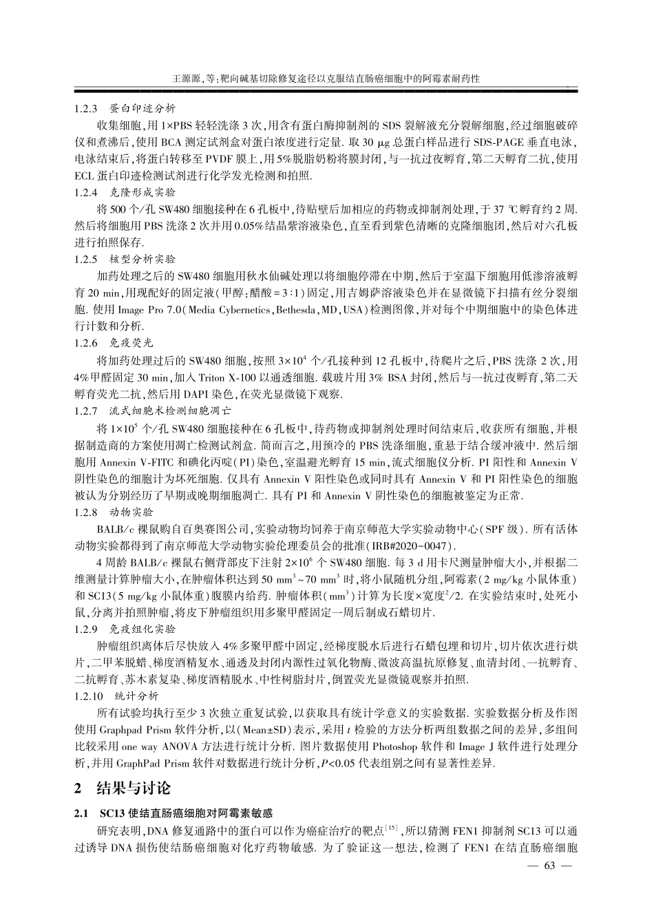 靶向碱基切除修复途径以克服结直肠癌细胞中的阿霉素耐药性.pdf_第3页